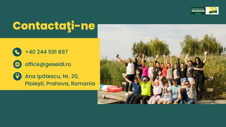 Consultanță contabilă și fiscală de top