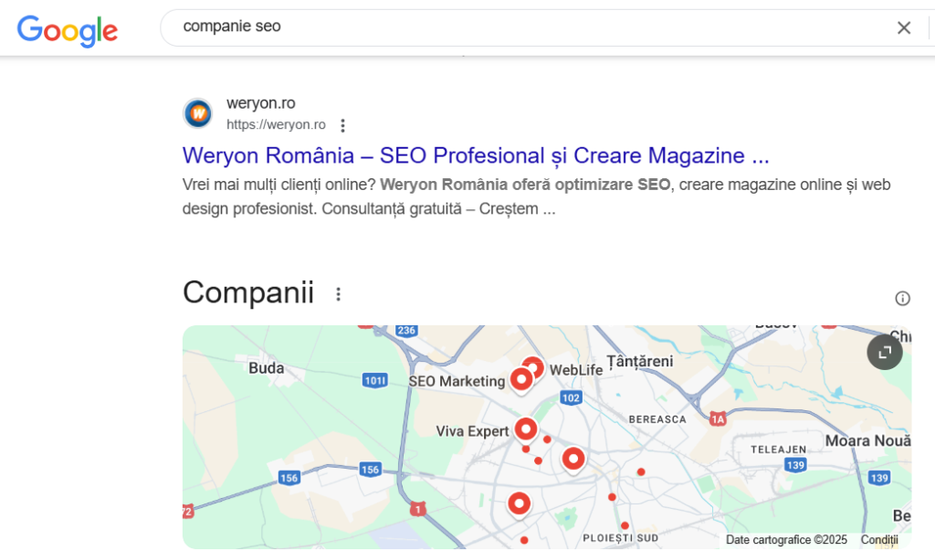 companie SEO
