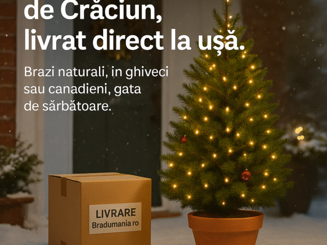 Găsește Bradul Perfect de Crăciun cu Livrare la Domiciliu – Doar pe Bradumania.ro