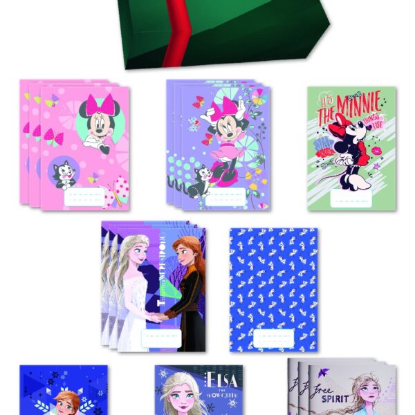 on1-import-11931-985ed6d59ede Cutie caiete clasele primare fete