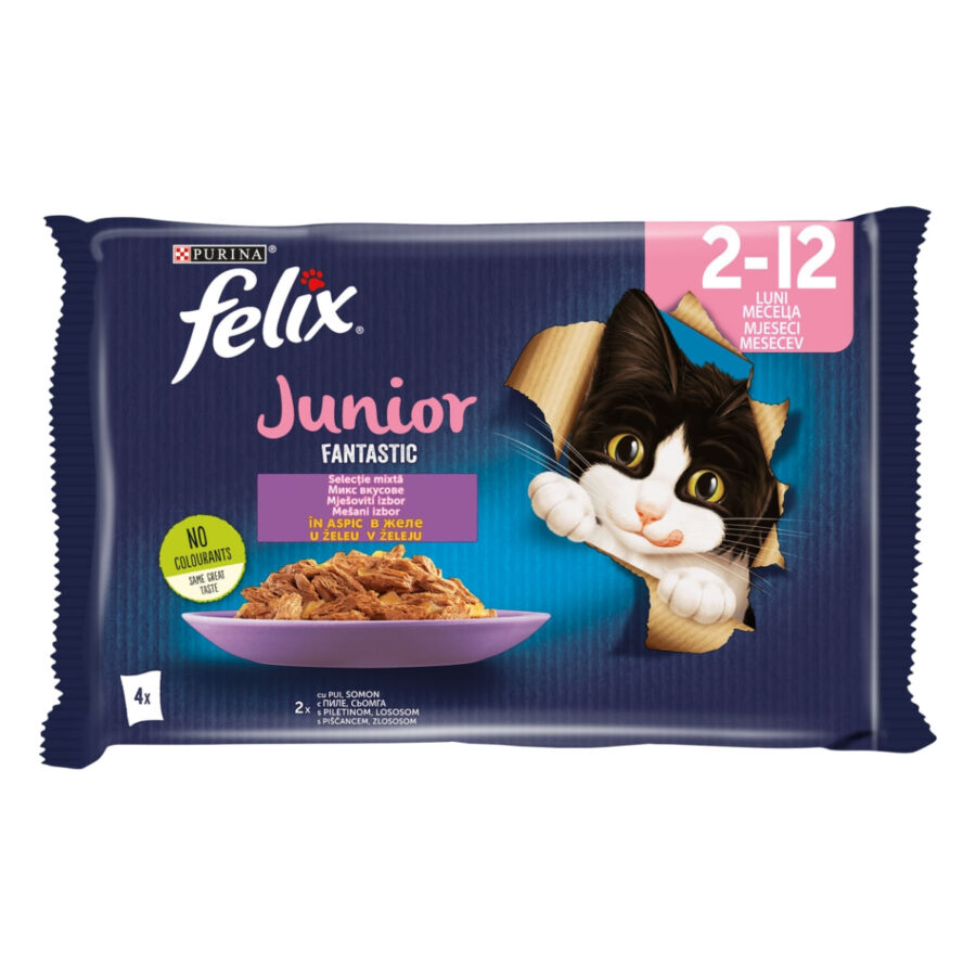 PURINA Felix Fantastic Junior, Pui, pachet mixt, plic hrană umedă pisici junior, în aspic, 4 × 85 g